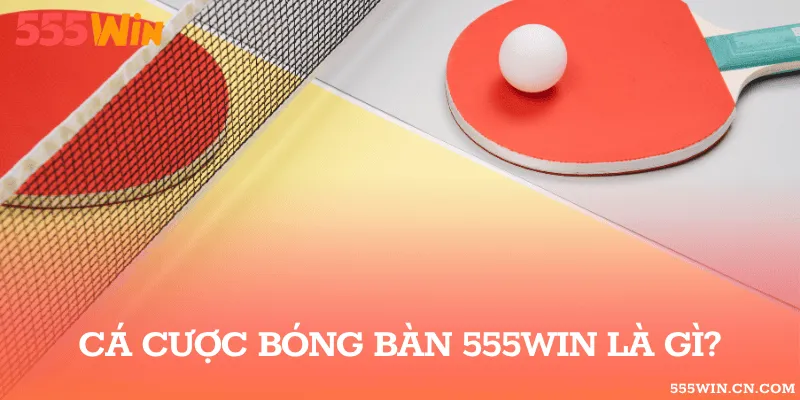 Cá cược bóng bàn 555WIN là gì?