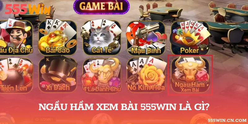 Giới thiệu game bài Ngầu Hầm Xem Bài đẳng cấp